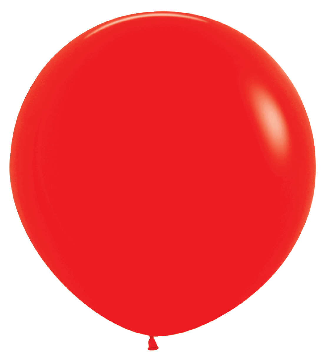 Balloons2Go Balloons Fashion Red / 24 inch (3 Ct) Sempertex Fashion Color Latex Balloons All Sizes Sempertex Fashion Balloons | Bold Color Collection