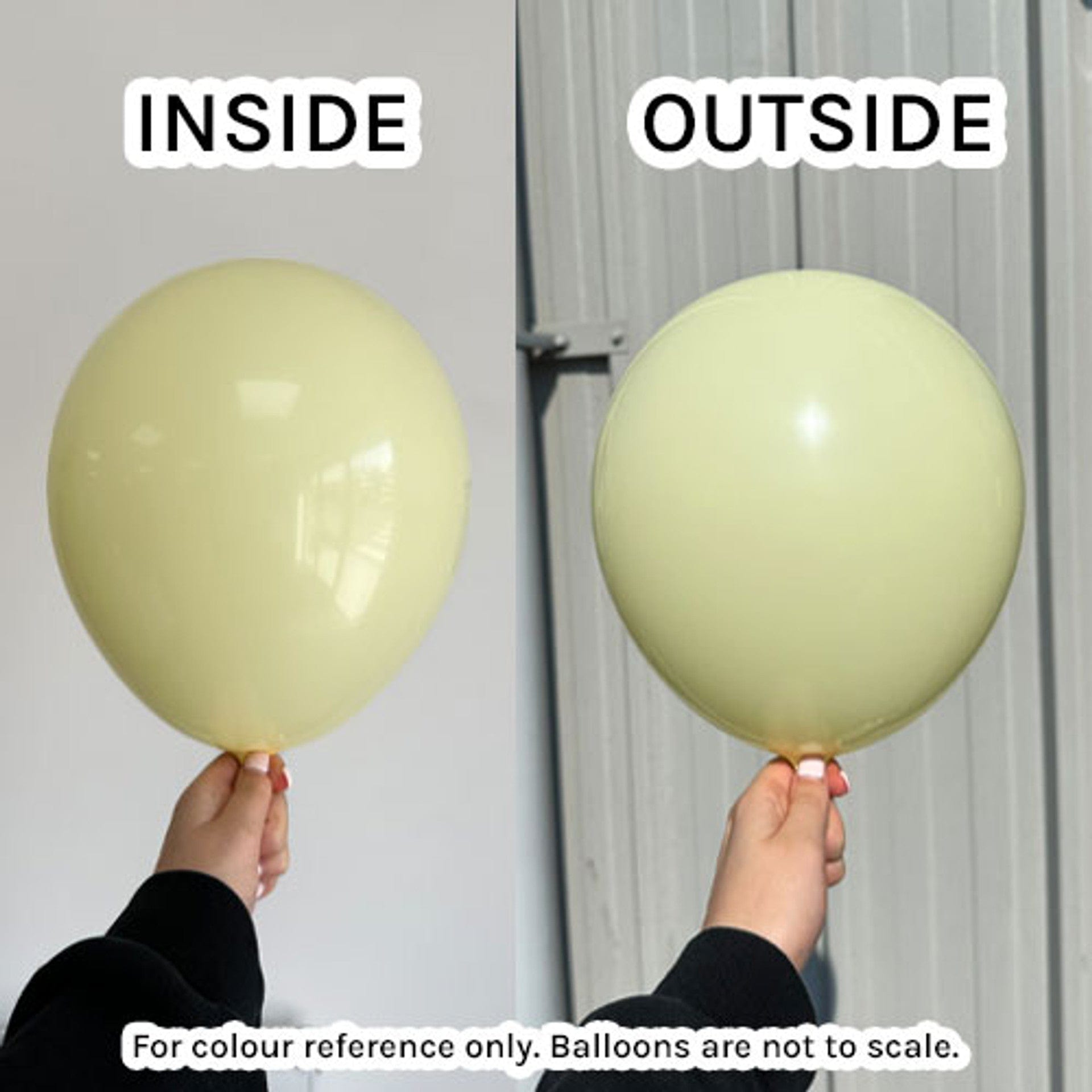 Balloons2Go Balloons 5 inch (100 Ct) / Pastel Buttermilk Prima Balloons All Colors and Sizes Prima Balloons All Colors and Sizes