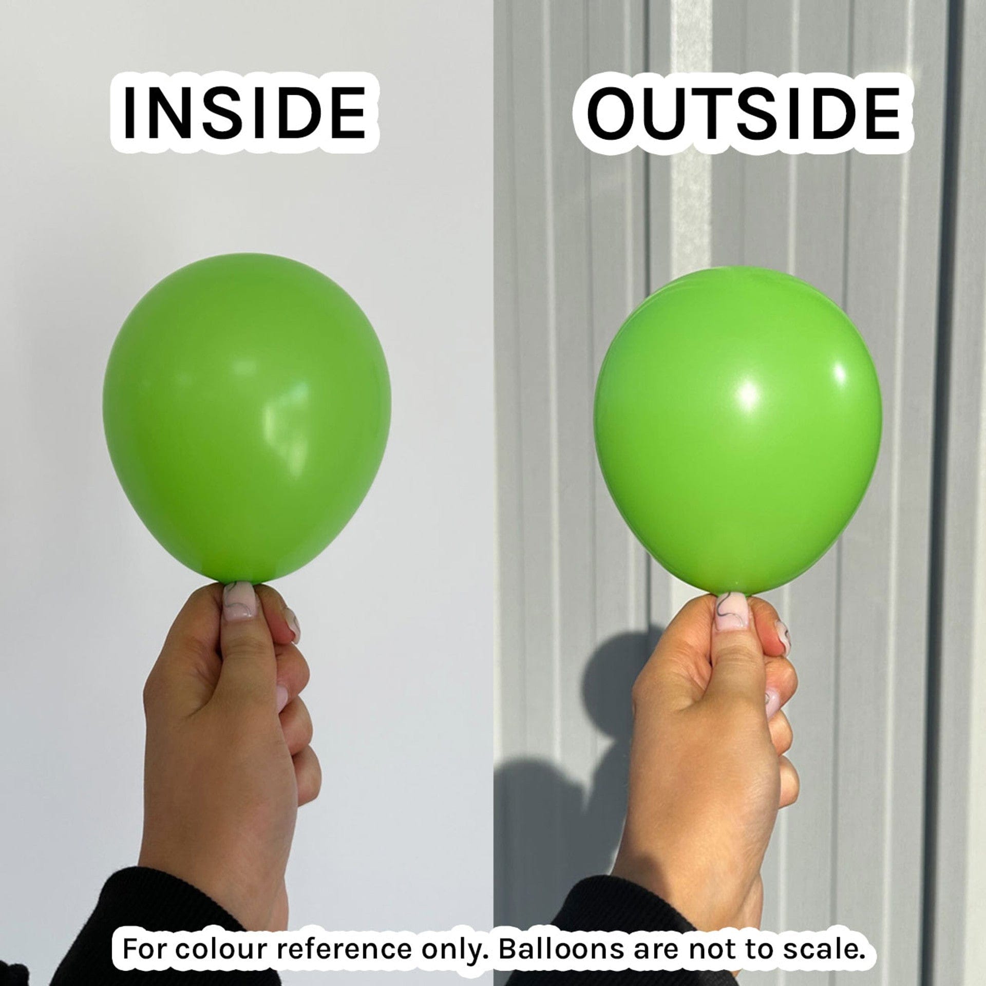 Balloons2Go Balloons 6 inch (50 Ct) / Fashion Key Lime Sempertex Link-O-Loon Balloons 25ct Sempertex Link-O-Loon Balloons 25ct