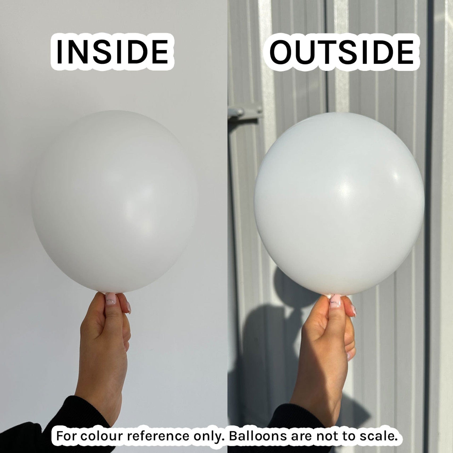 Balloons2Go Balloons Fashion White / 5 inch (100 Ct) Sempertex Fashion Color Latex Balloons All Sizes Sempertex Fashion Balloons | Bold Color Collection