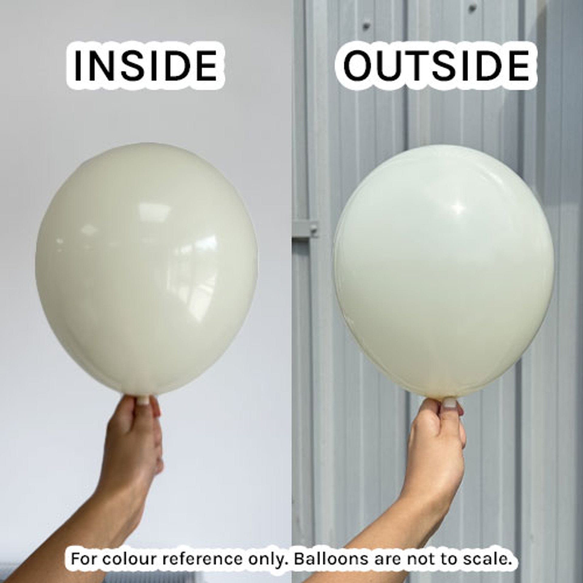Balloons2Go Balloons 5 inch (100 Ct) / Ivory Prima Balloons All Colors and Sizes Prima Balloons All Colors and Sizes