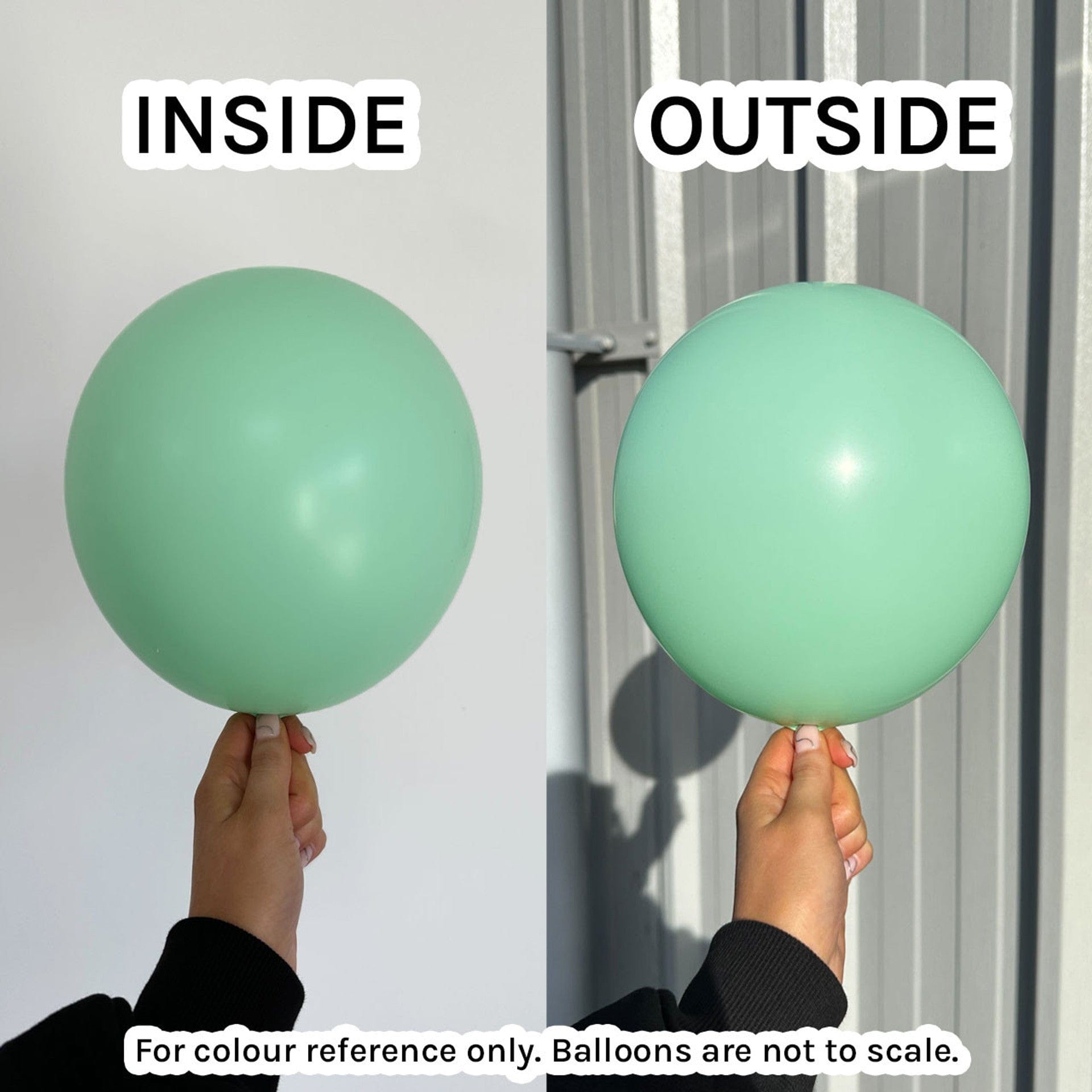 Balloons2Go Balloons 12 inch (50 Ct) / Pastel Matte Green Sempertex Pastel Matte Link-O-Loon Balloon Sempertex Pastel Matte Link-O-Loon Balloon