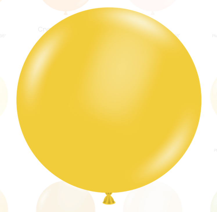 Balloons2Go Balloons 24 inch (25 Ct) / Goldenrod TUFTEX Deluxe Round Latex Colors | All Sizes Tuftex Designer Round Latex Balloons | Assorted Premium Colors