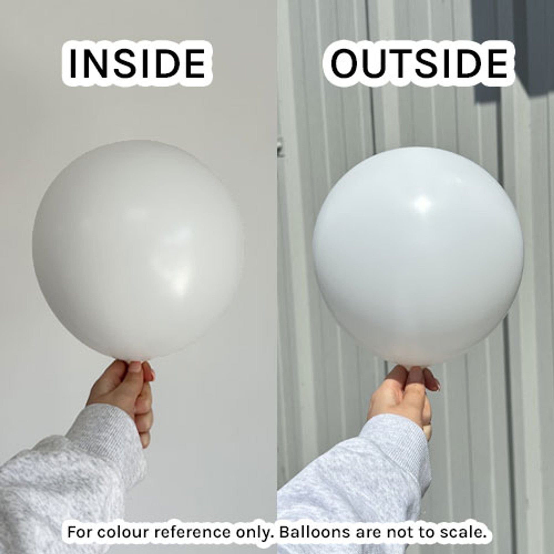 Balloons2Go Balloons 12" Kalisan Standard White Balloon 100 Ct 12" Kalisan Standard White Balloon 100 Ct