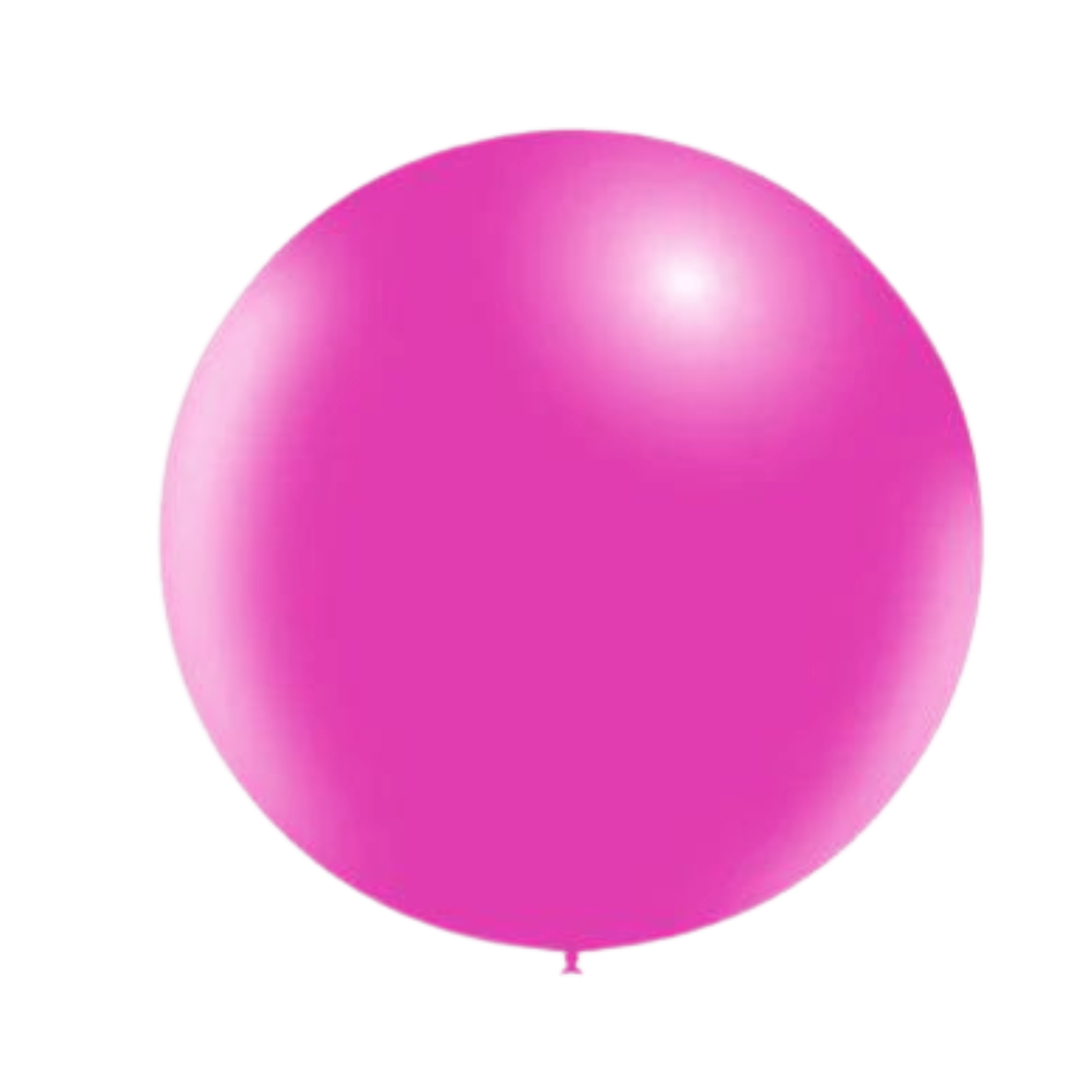 Balloons2Go Balloons Balloonia 18" Standard Fuschia Latex Balloon 25 Ct 18in Standard Fuschia Latex Balloons - 25ct | Balloonia