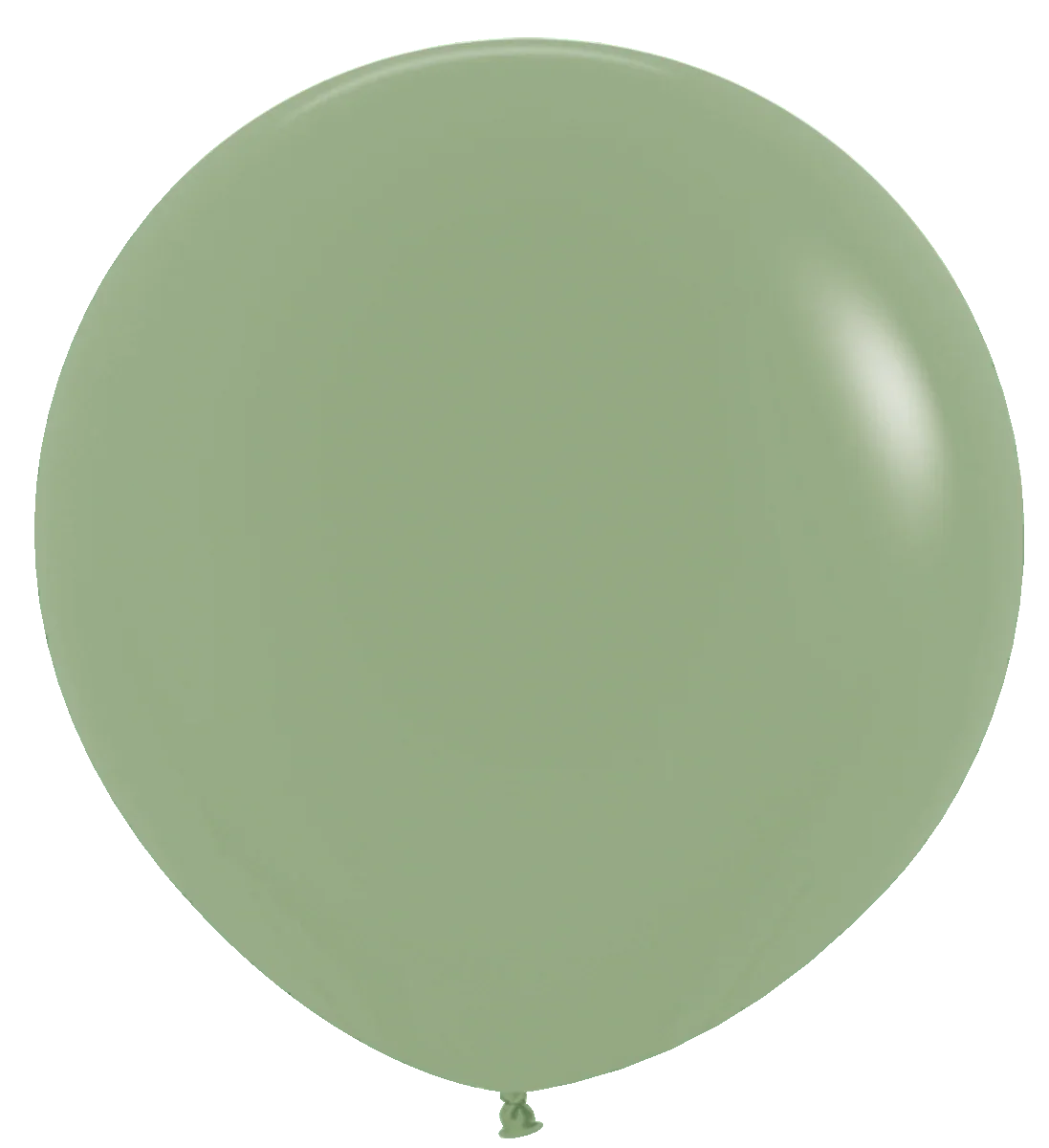 Balloons2Go Balloons 18 inch (25 Ct) / Deluxe Eucalyptus Sempertex Deluxe Color Latex Balloons | All Sizes Sempertex Deluxe Color Latex Balloons | All Sizes
