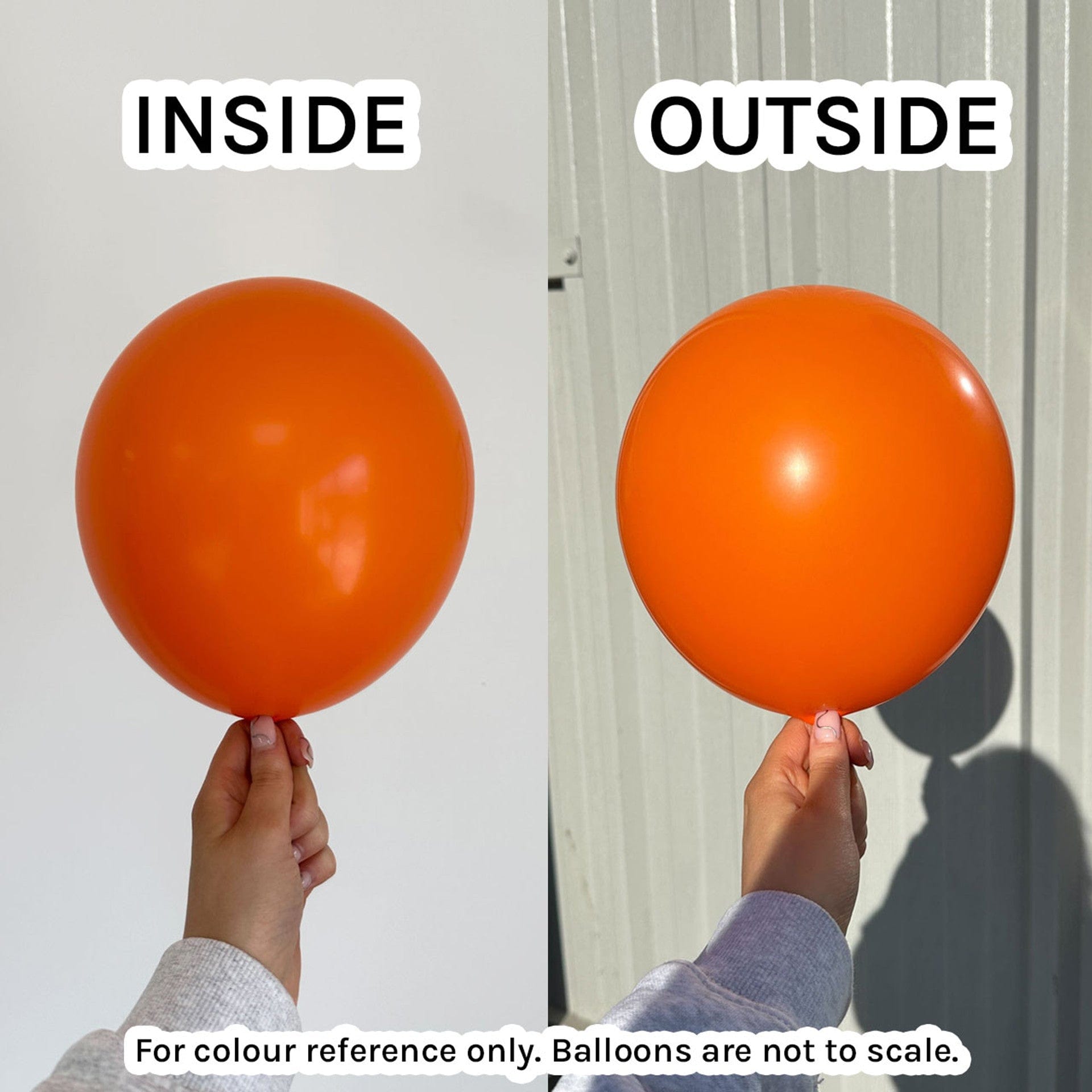 Balloons2Go Balloons Fashion Orange / 5 inch (100 Ct) Sempertex Fashion Color Latex Balloons All Sizes Sempertex Fashion Balloons | Bold Color Collection