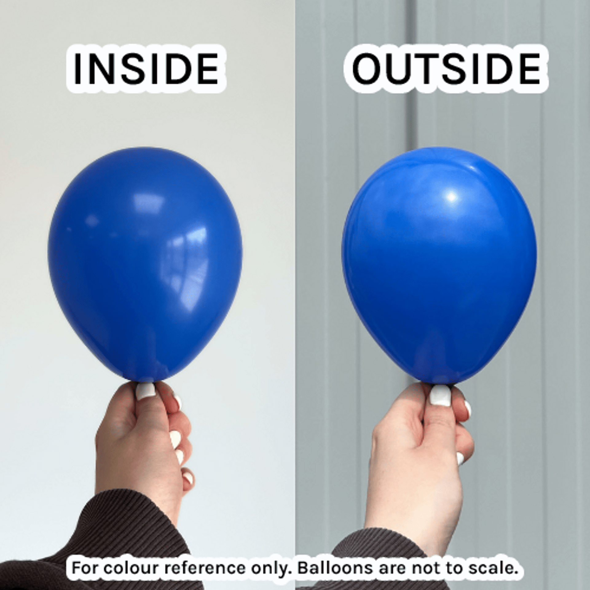 Balloons2Go Balloons Fashion Royal Blue / 5 inch (100 Ct) Sempertex Fashion Color Latex Balloons All Sizes Sempertex Fashion Balloons | Bold Color Collection