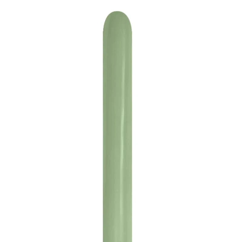 Balloons2Go Balloons 260 Sempertex Deluxe Eucalyptus Twisting - Entertainer Balloons | 50 Ct 260 Eucalyptus Twisting Balloons – 50 ct | Sempertex