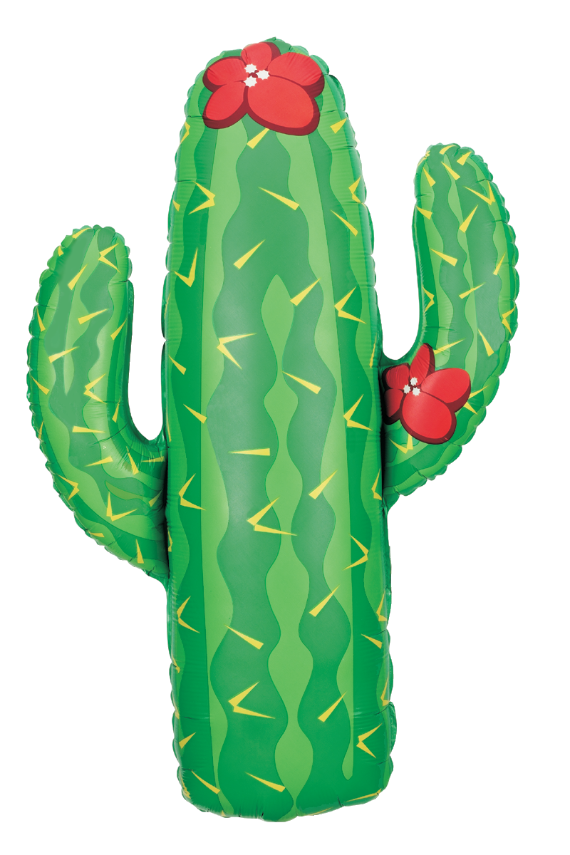 Cactus 41 inch